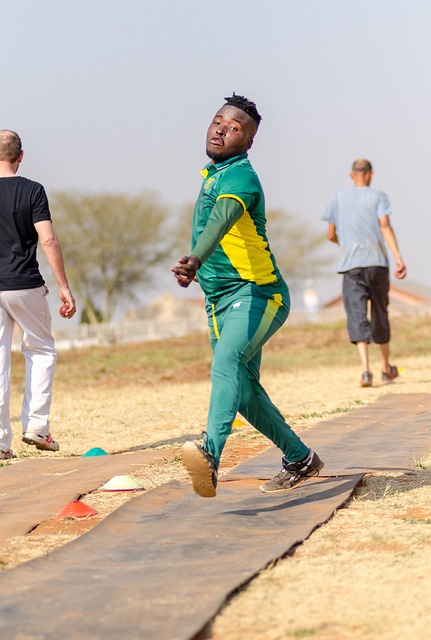 Cricket Franchise Leagues: Examining the Success of T20 Competitions